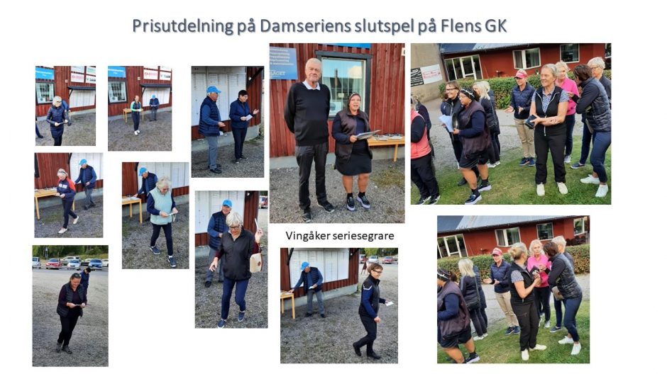 Damseriens slutspel